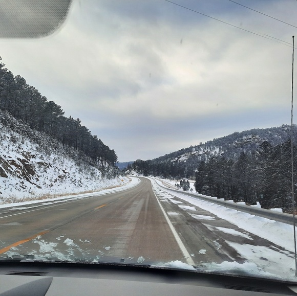 Meet your Posher, Liz - Picture 1 of 1